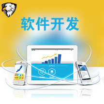 軟件外包服務(wù)全解析 報(bào)價(jià)、收費(fèi)模式與九品制服務(wù)分級(jí)
